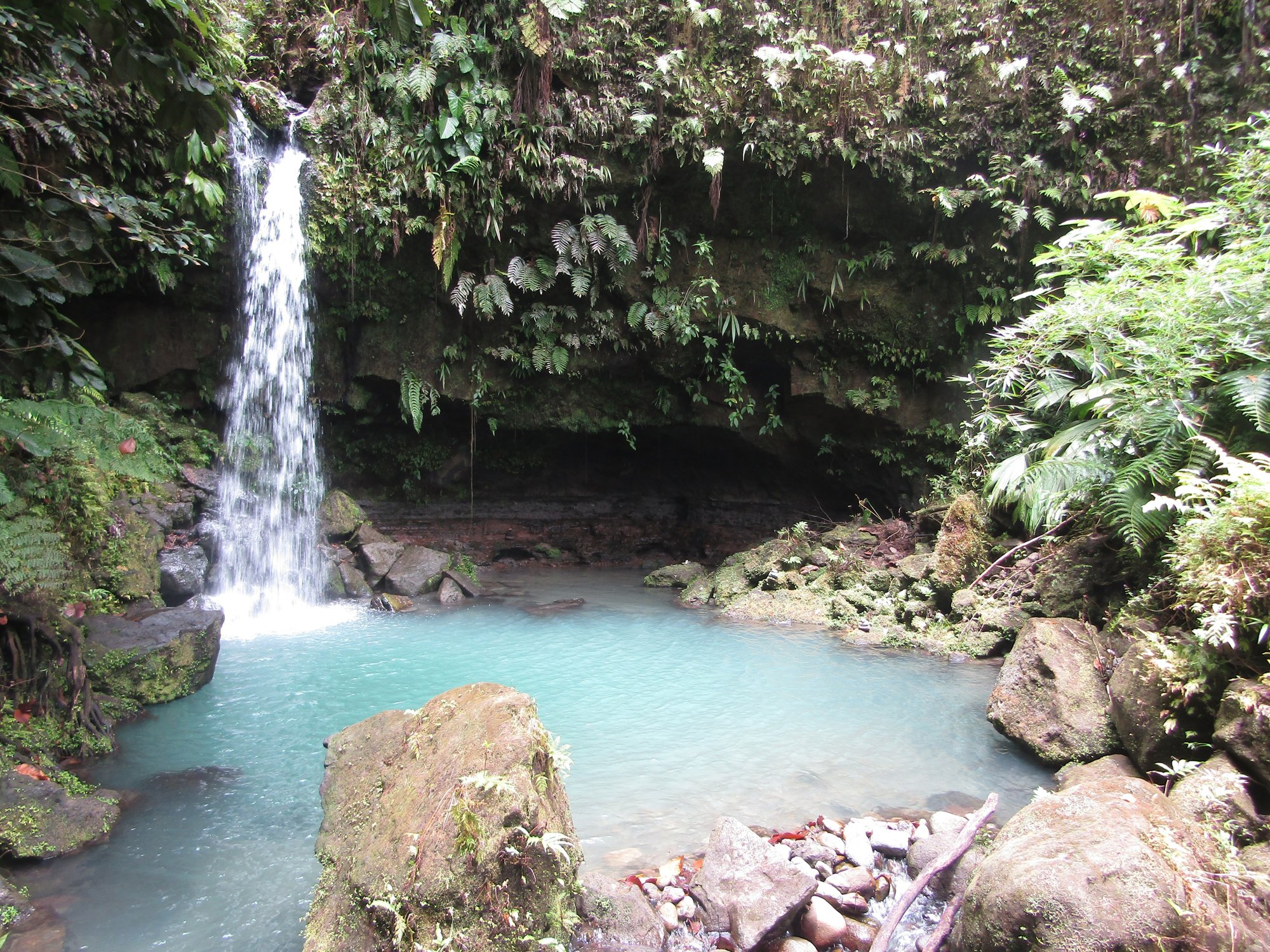 Waterfall and green forest at Emerald Pool, Dominica